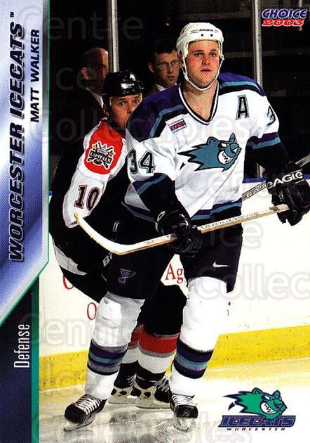  (CI) Aris Brimanis Hockey Card 2003-04 Worcester