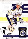 1993-94 Donruss Brent Gretzky #318