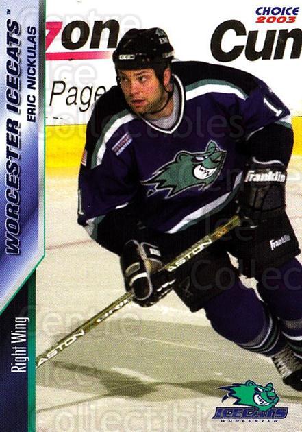 Worcester IceCats 02/03 Jersey's