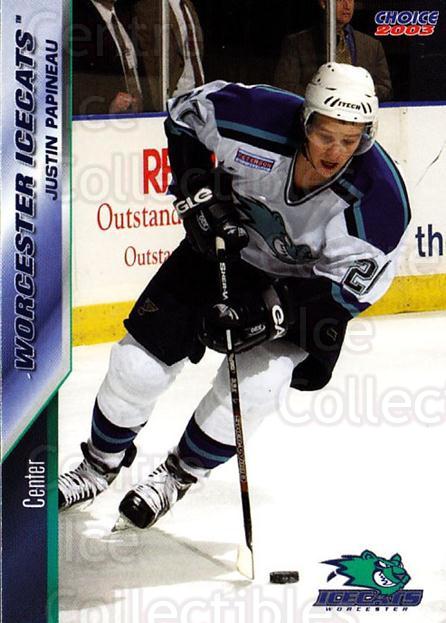  (CI) Aris Brimanis Hockey Card 2003-04 Worcester