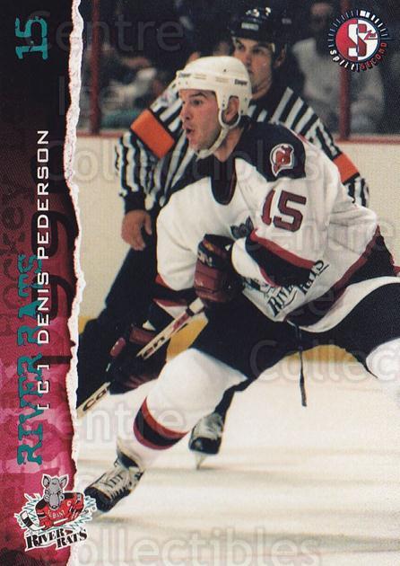 Center Ice Collectibles - 1996-97 Albany River Rats Hockey Cards