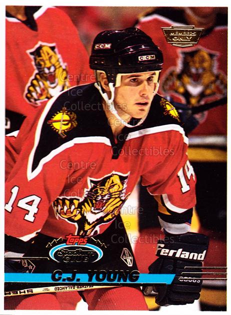 1993-94 Topps Stadium Club Members Only Florida Panthers Team Set Hockey  Cards,  in 2023