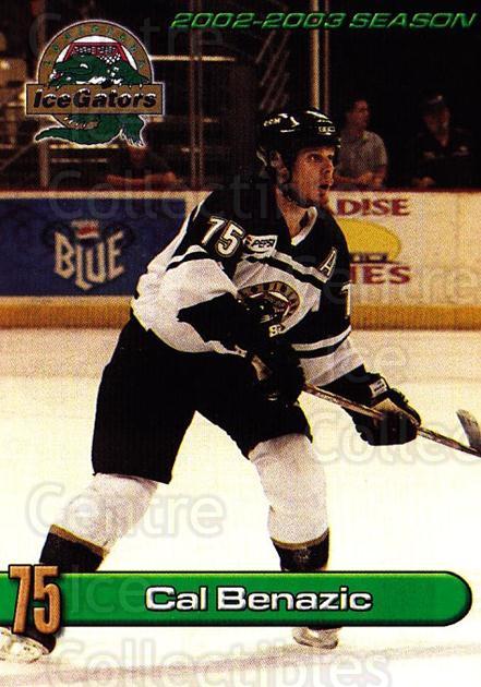 Center Ice Collectibles - 1996-97 Louisiana Ice Gators II Hockey Cards