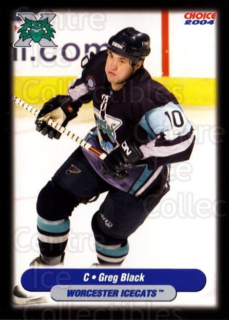  (CI) Aris Brimanis Hockey Card 2003-04 Worcester