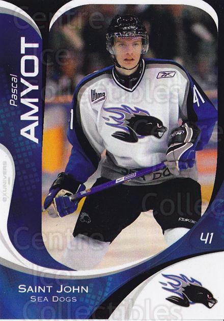  (CI) Alex Grant Hockey Card 2007-08 Saint John Sea Dogs 13 Alex  Grant : Collectibles & Fine Art